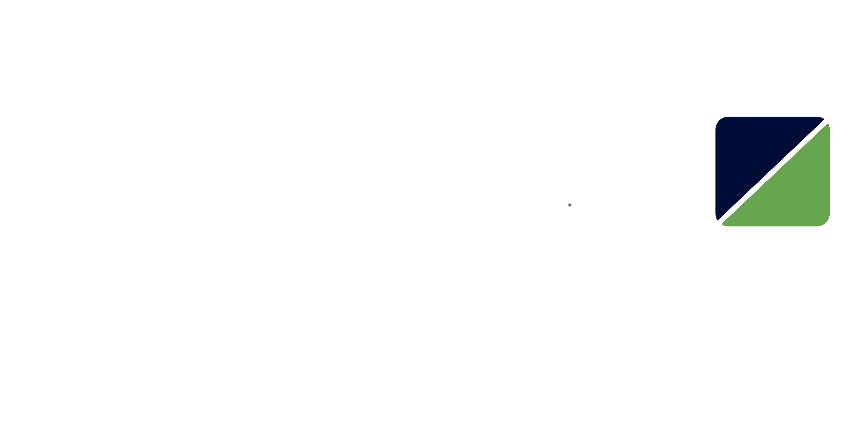 João logotipo Brasdtar BLANCO II.png